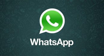 iOS 和 Android 版本的 Whatsapp 終於支持傳送 PDF 文件功能