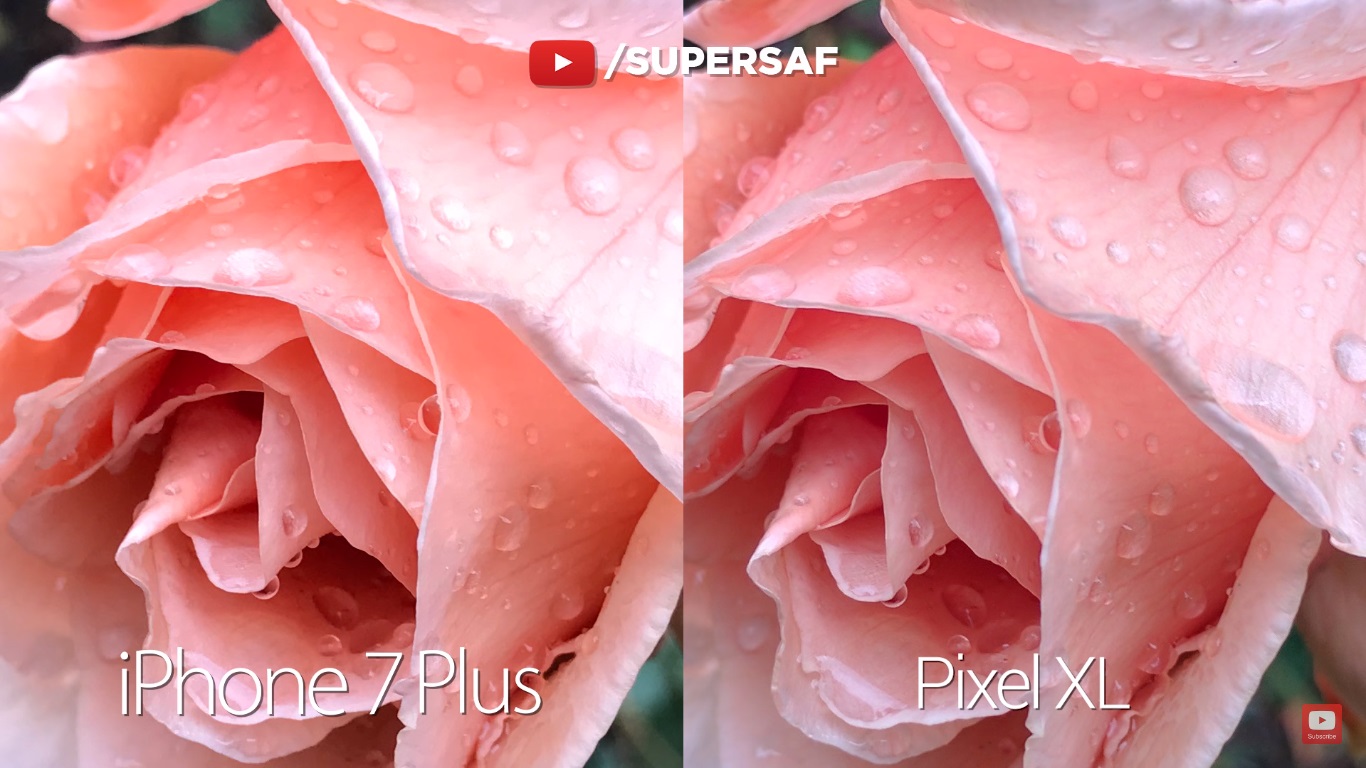 iphone-7-plus-vs-google-pixel-fight-4-detail