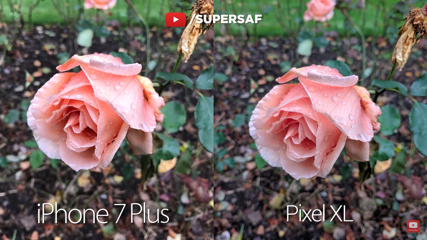 iphone-7-plus-vs-google-pixel-fight-4