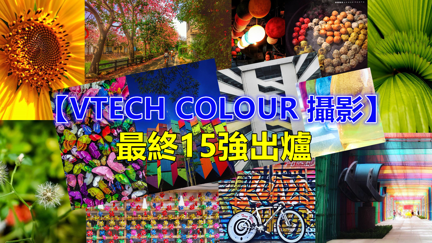 【VTECH COLOUR 攝影】最終15強出爐：讓色彩繽紛的手機拍攝增添您生活樂趣！