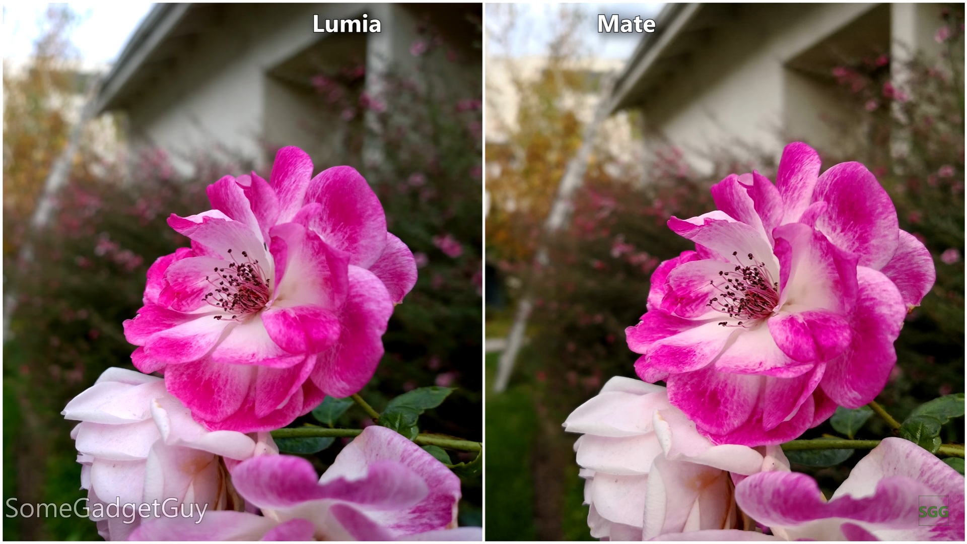 當 4100 萬像素 ZEISS  單攝碰上 LEICA 雙攝：Nokia Lumia 1020 vs Huawei Mate 10 Pro 相機大比拼；手機相機這幾年有在進步嗎？ 2