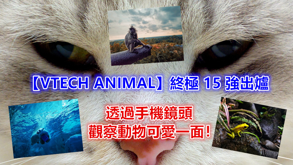 【VTECH ANIMAL】終極 15 強出爐：透過手機鏡頭觀察動物可愛一面！