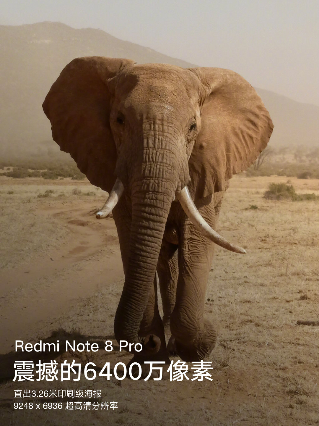 全馬首發6400萬像素鏡頭：Redmi Note 8 Pro主相機大解密；憑著底子大&高像素拍攝墊壓千元機同級對手！ 10