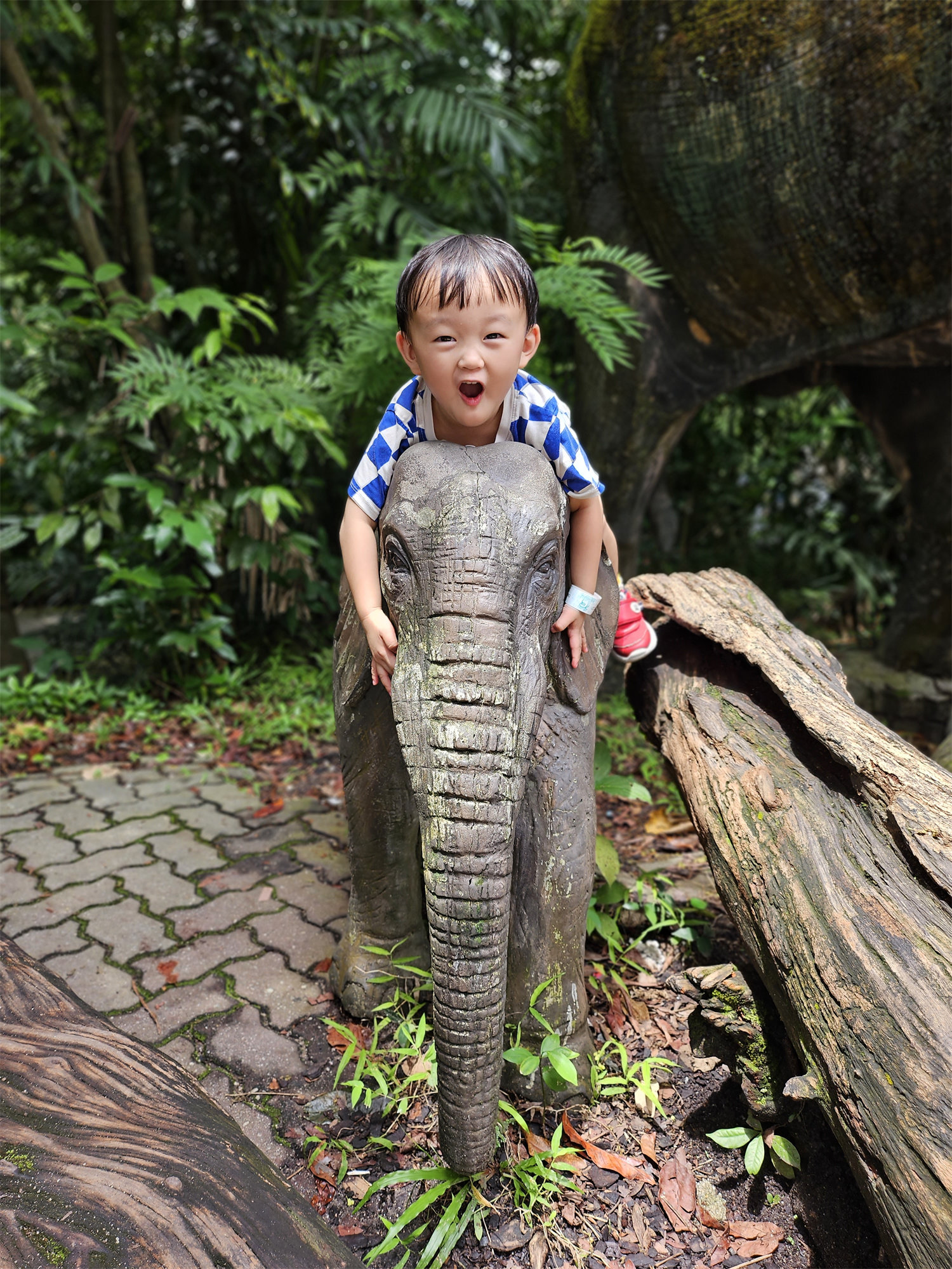 【手機攝影】國家動物園遊記；來看看 Samsung Galaxy Z Flip5 如何透過外屏與 AI 相機技術提升拍攝樂趣！ 83