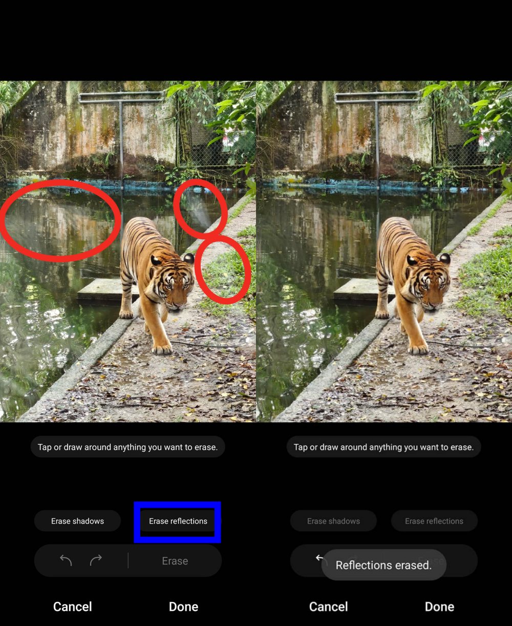 【手機攝影】國家動物園遊記；來看看 Samsung Galaxy Z Flip5 如何透過外屏與 AI 相機技術提升拍攝樂趣！ 10