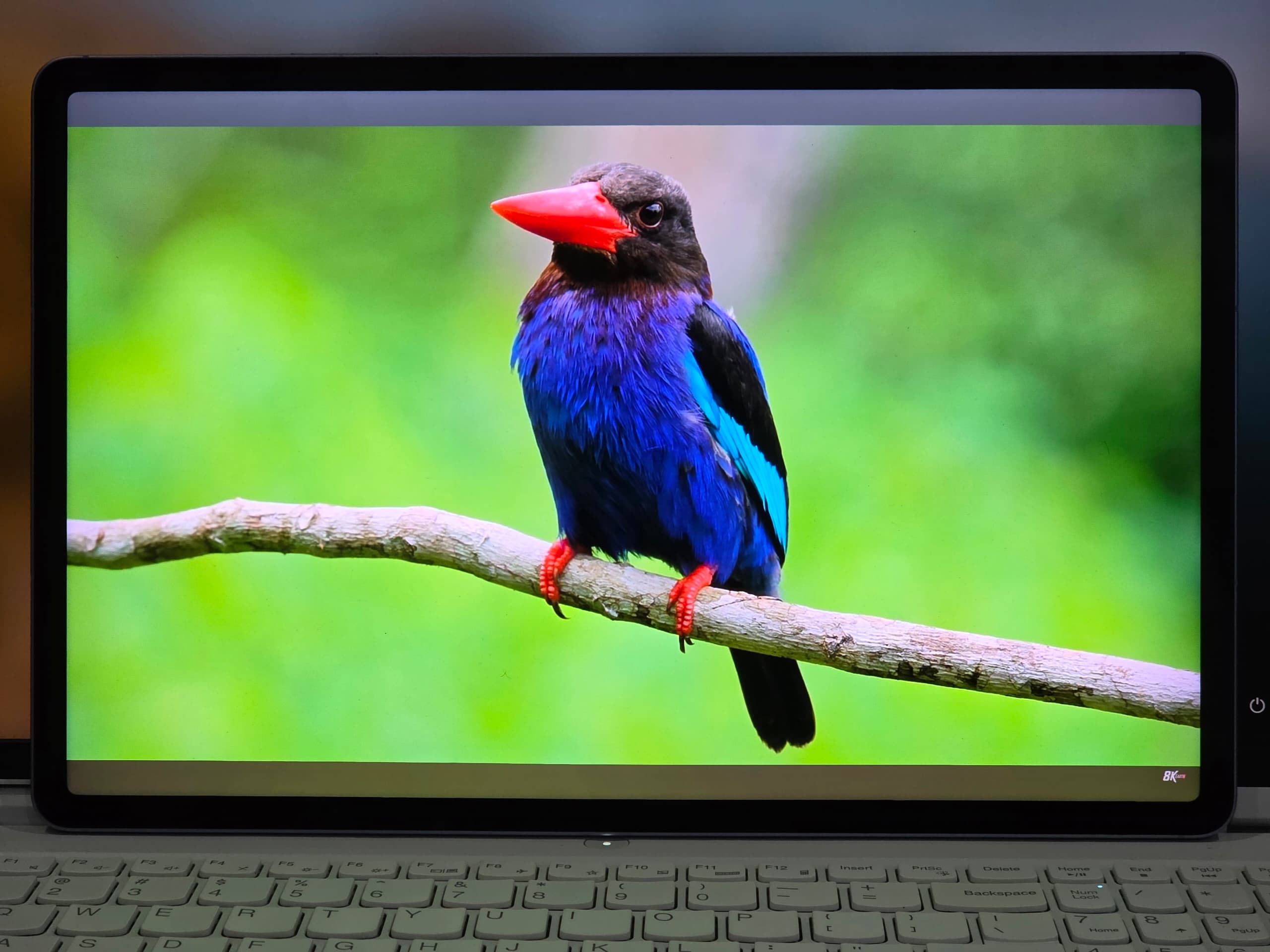 Samsung Galaxy Tab S10 FE+ 詳細評測：防水設計、AI 功能與 13.1寸超大熒幕集於一身的中端平板電腦！ 21