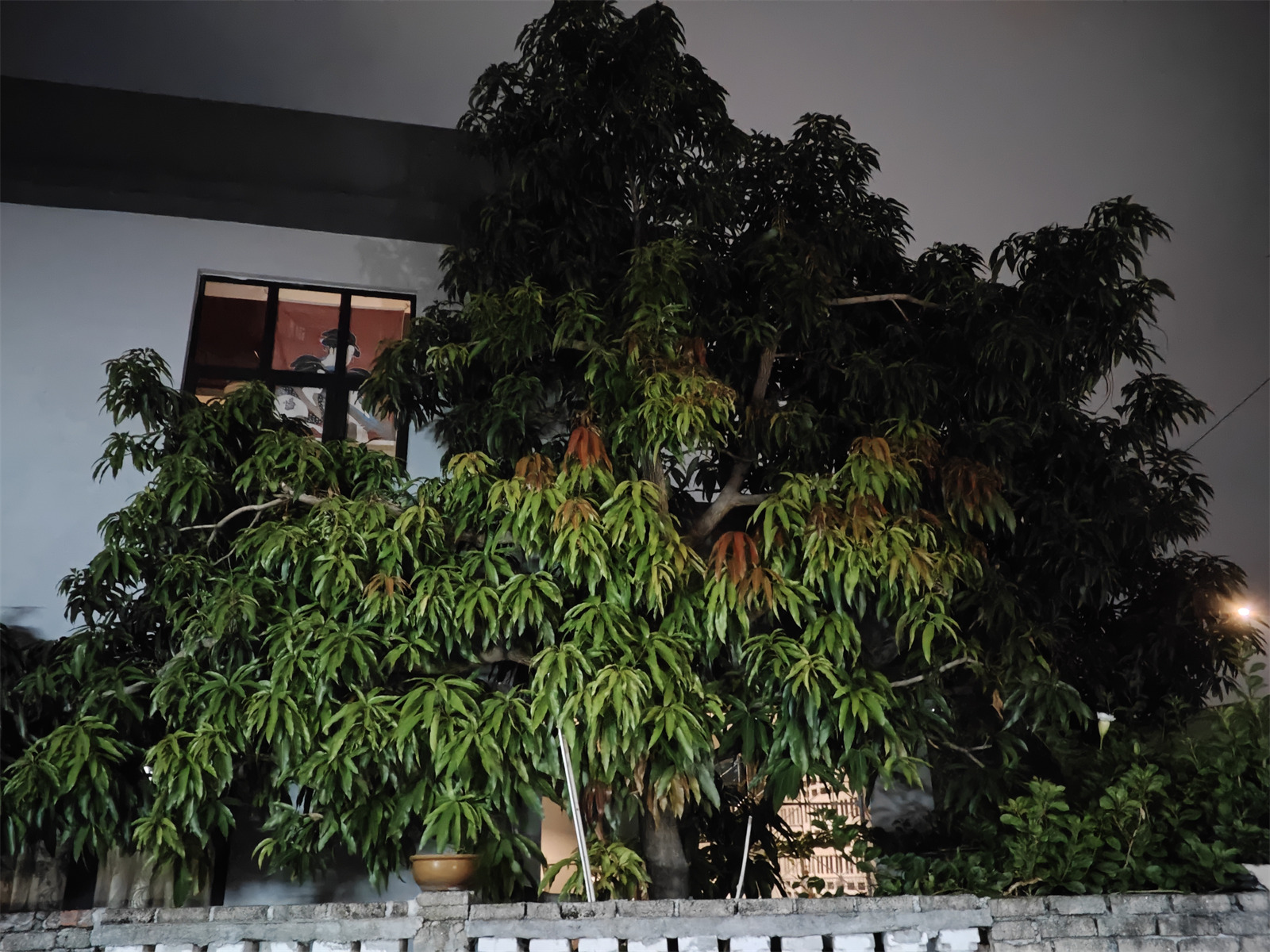 小米 Pad 8 評測：體驗與性能升級； 辦公與娛樂兼備的中價平板電腦誕生！ 31