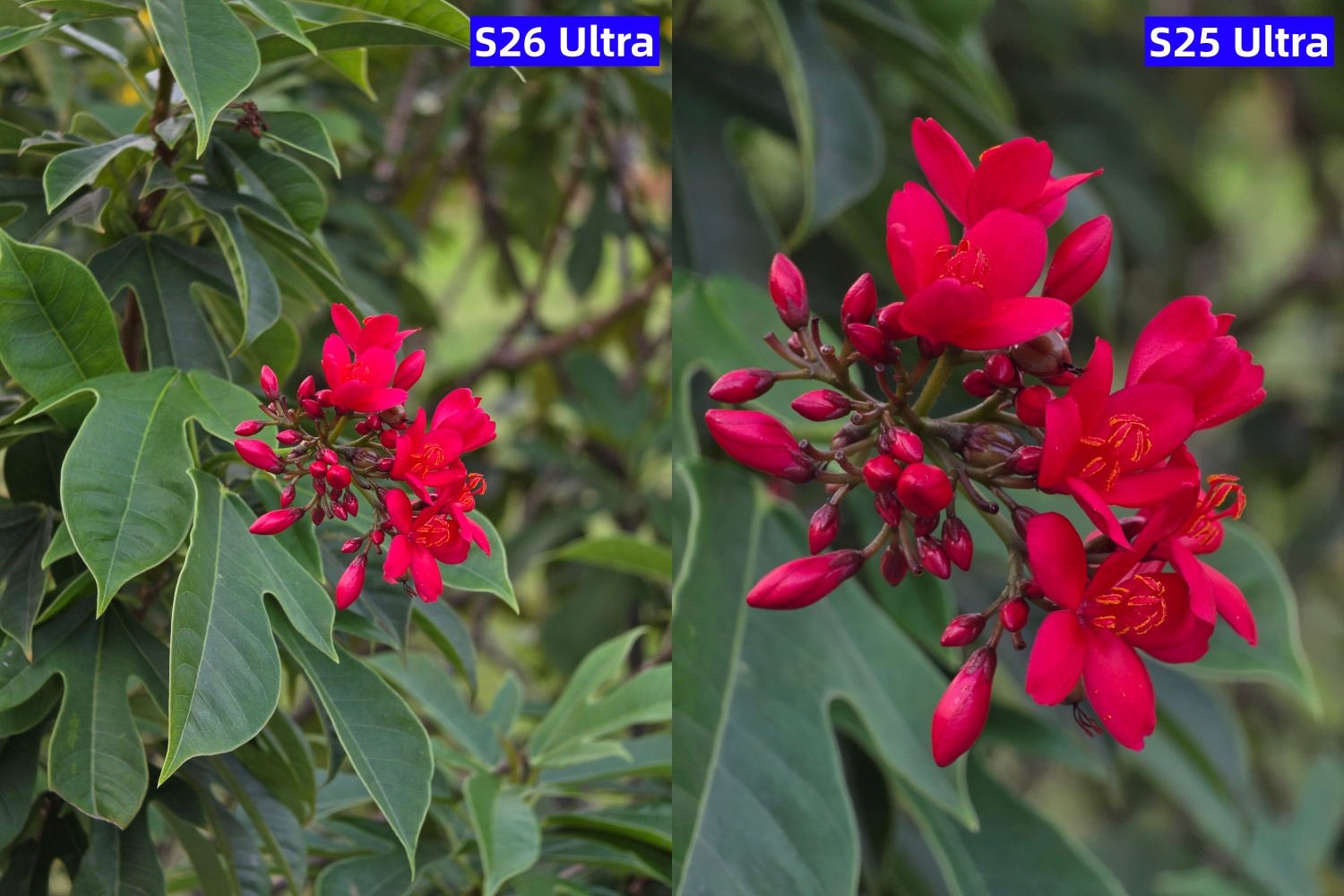 Samsung Galaxy S26 Ultra 評測：「軟硬兼施」進化；憑隱私螢幕與更強 AI 突圍的年度旗艦！ 57